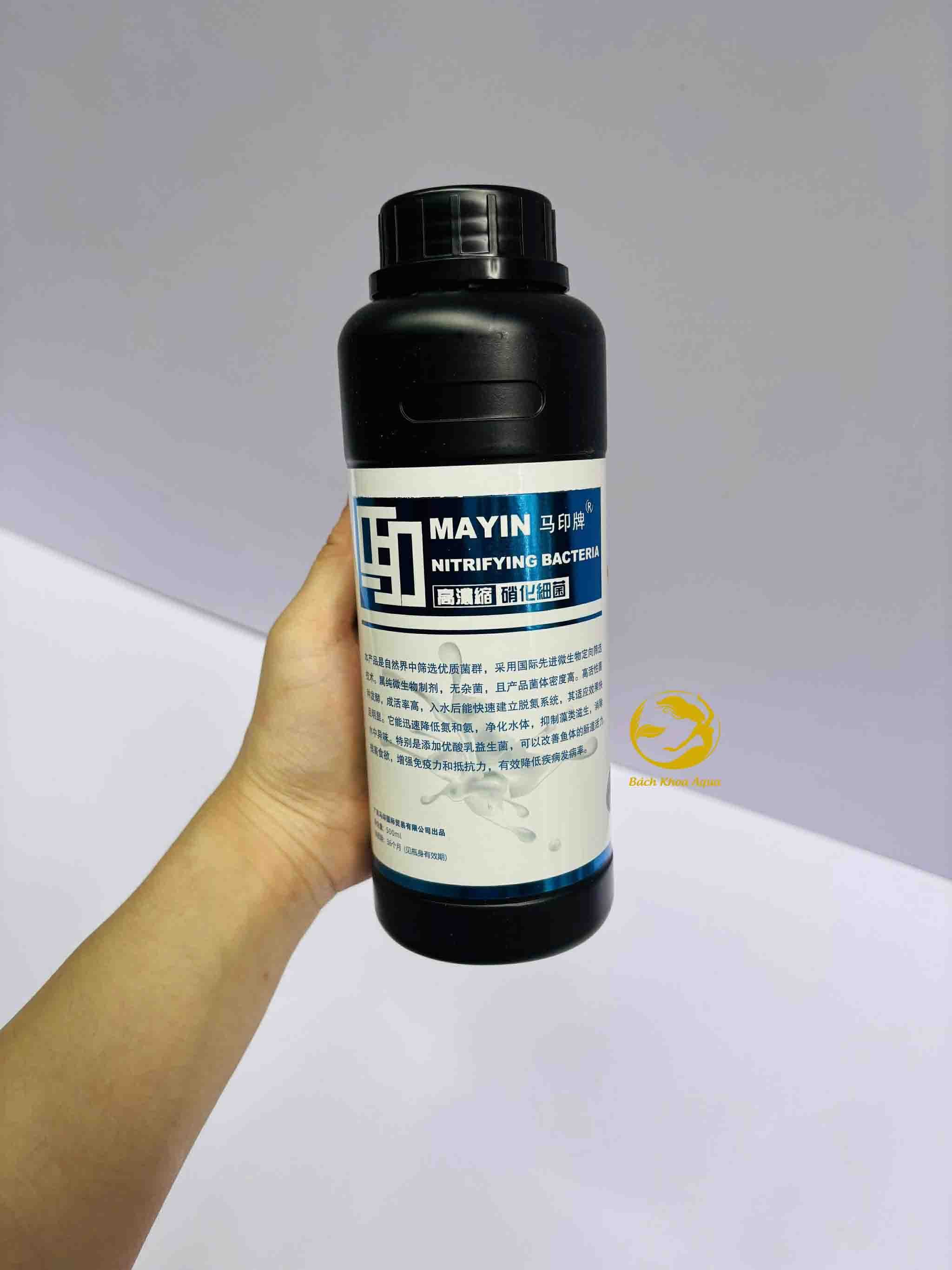 Vi sinh bể cá Mayin làm trong nước hiệu quả